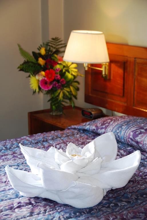 Hotel Del Rey Hotel De Ciudad (Adults Only) 聖荷西 客房 照片